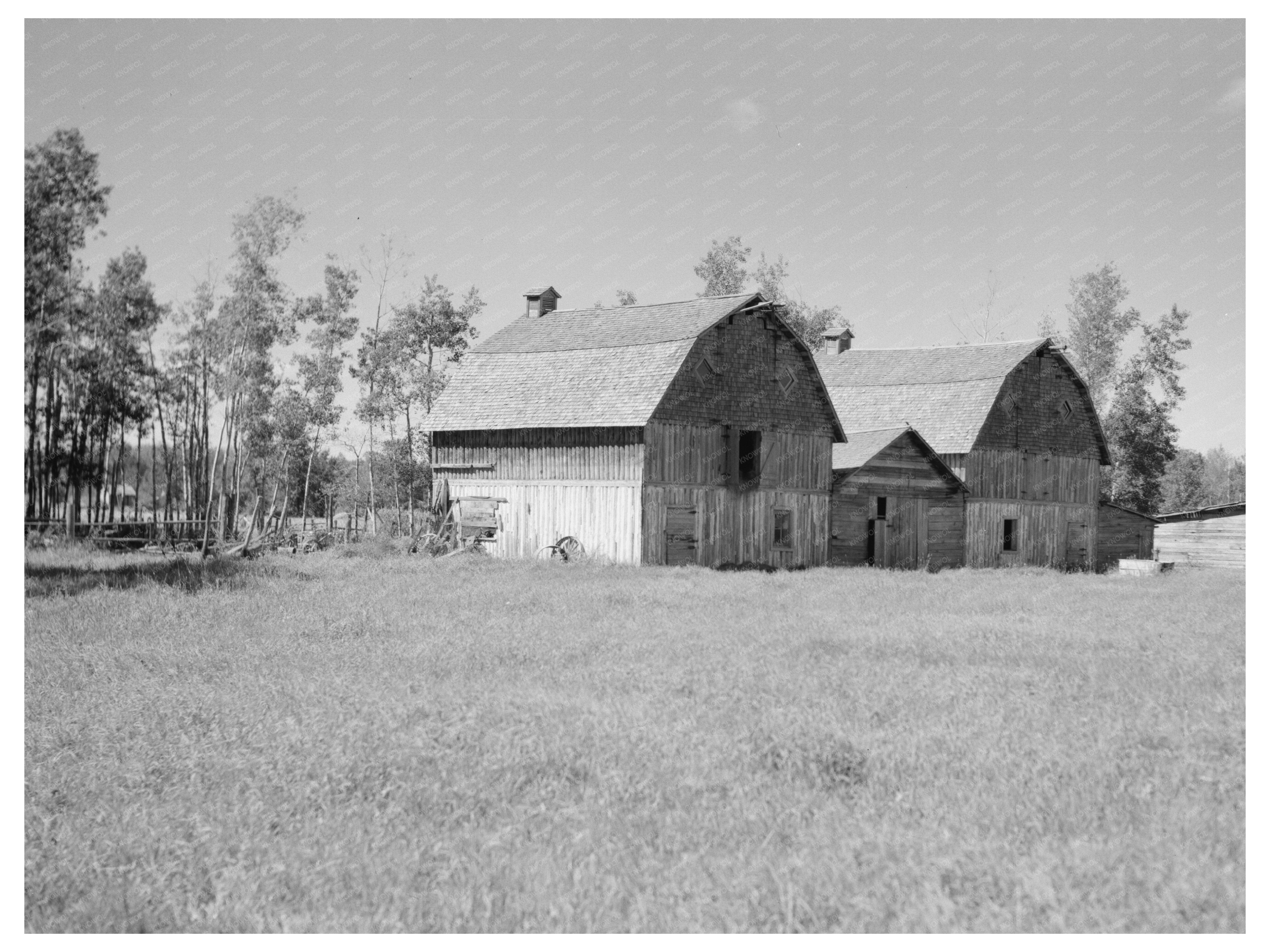 Vintage Barns on Farm in Ericsburg Minnesota 1937