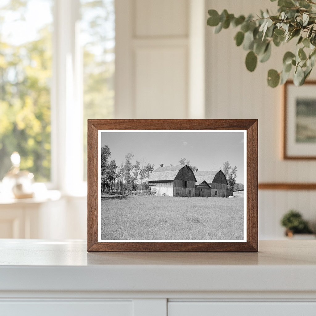 Vintage Barns on Farm in Ericsburg Minnesota 1937