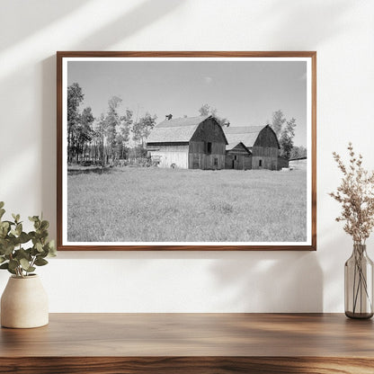 Vintage Barns on Farm in Ericsburg Minnesota 1937