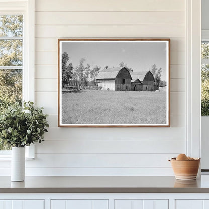 Vintage Barns on Farm in Ericsburg Minnesota 1937