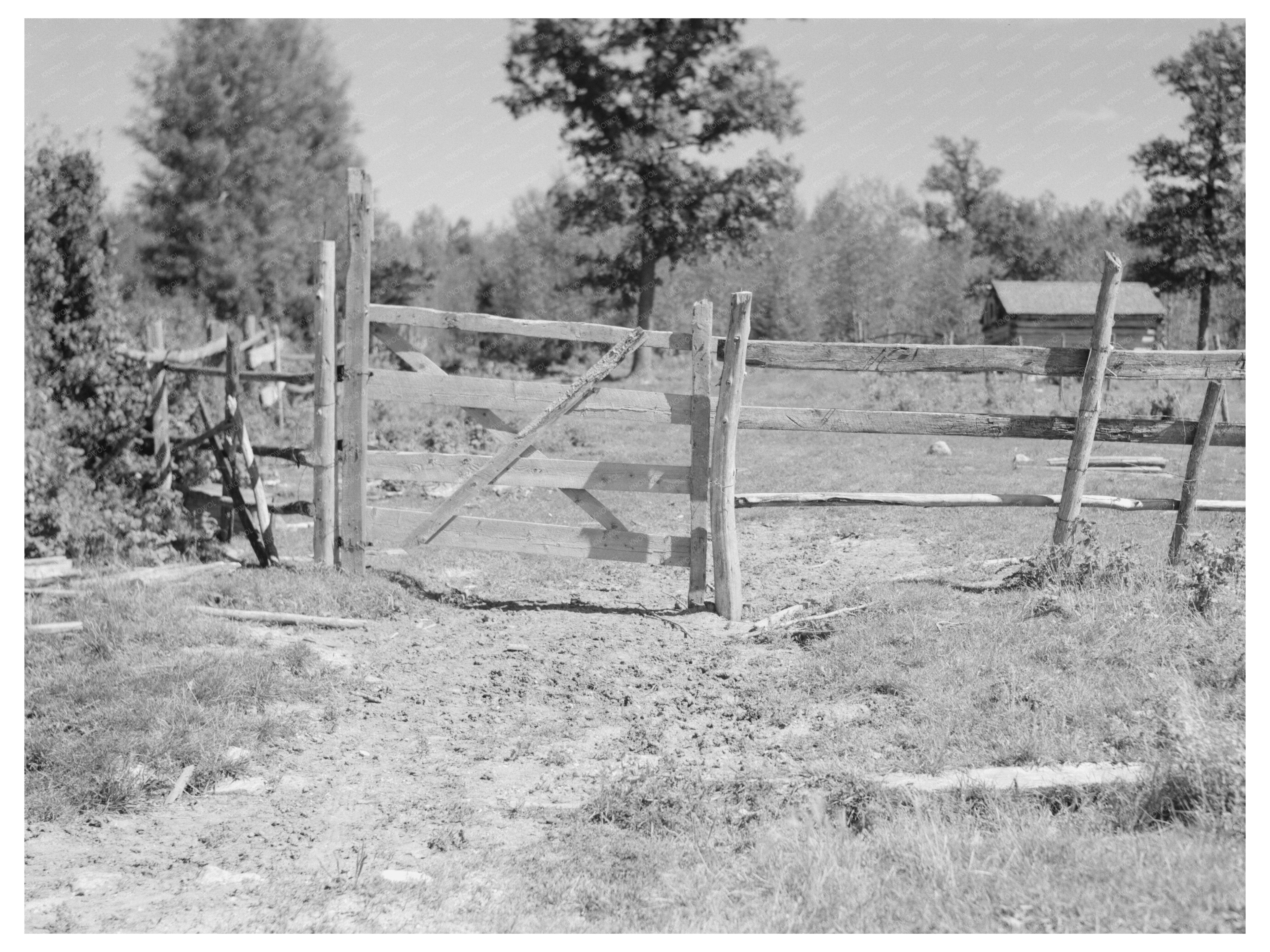 Vintage Fence and Gate in Ericsburg Minnesota 1937