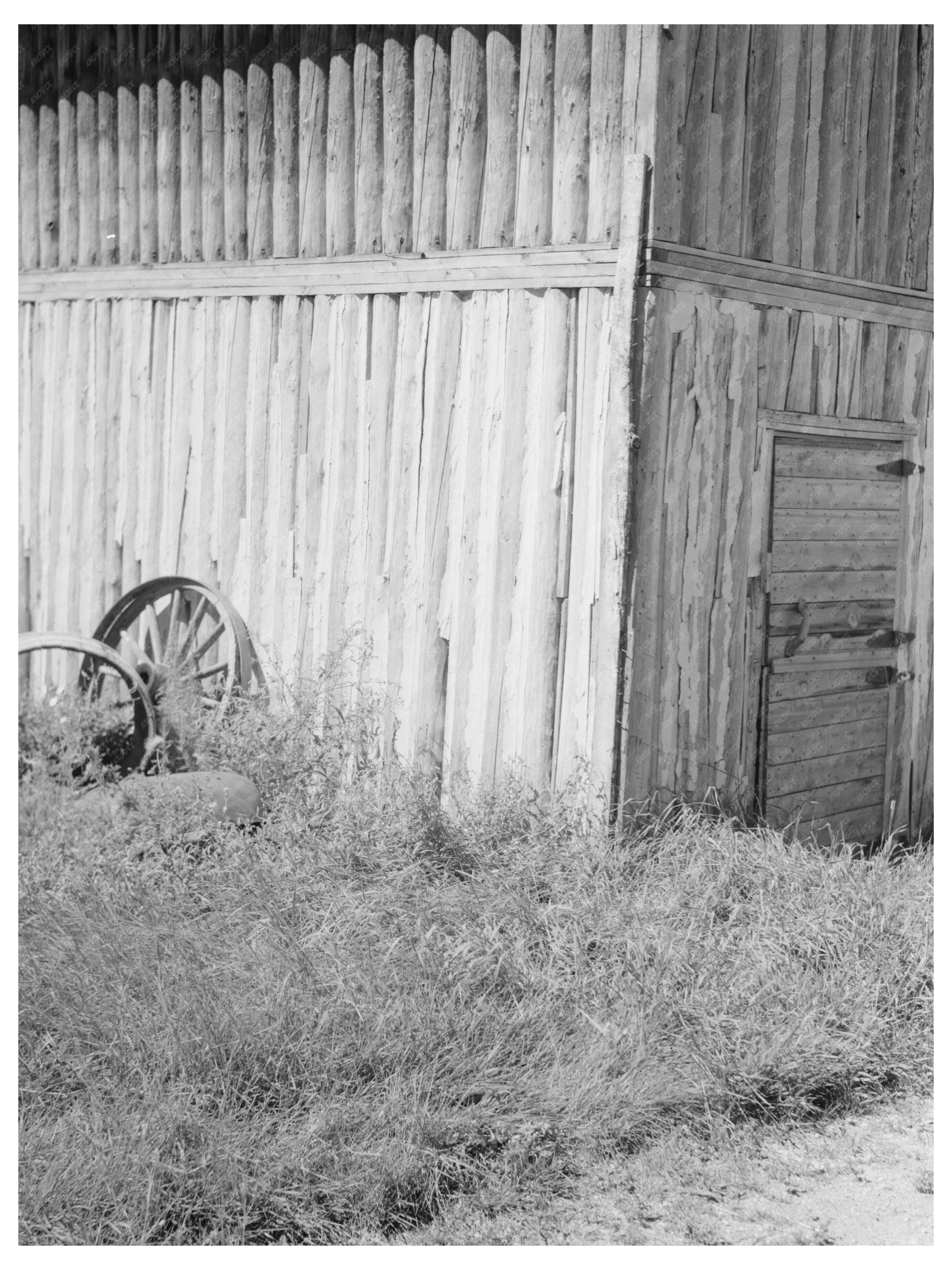 Log Barn Detail Ericsburg Minnesota August 1937