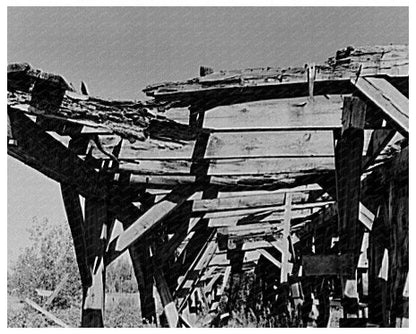 Sawmill Decay in Ericsburg Minnesota September 1937