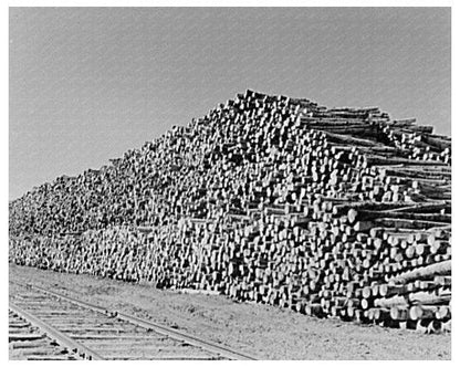 Pulpwood Pile for Papermill in International Falls 1937