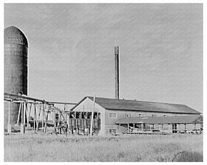 Vintage Refuse Burner and Sawmill Tower Minnesota 1937