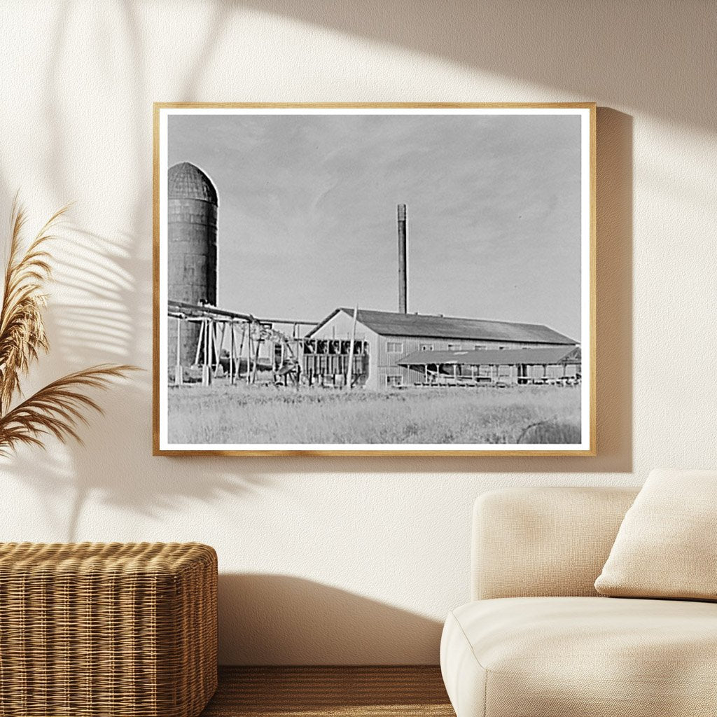 Vintage Refuse Burner and Sawmill Tower Minnesota 1937