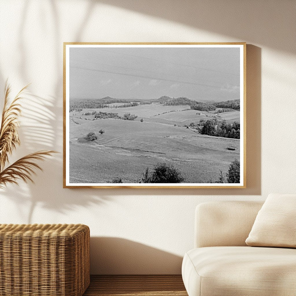 Rural Landscape in Jackson County Wisconsin 1937