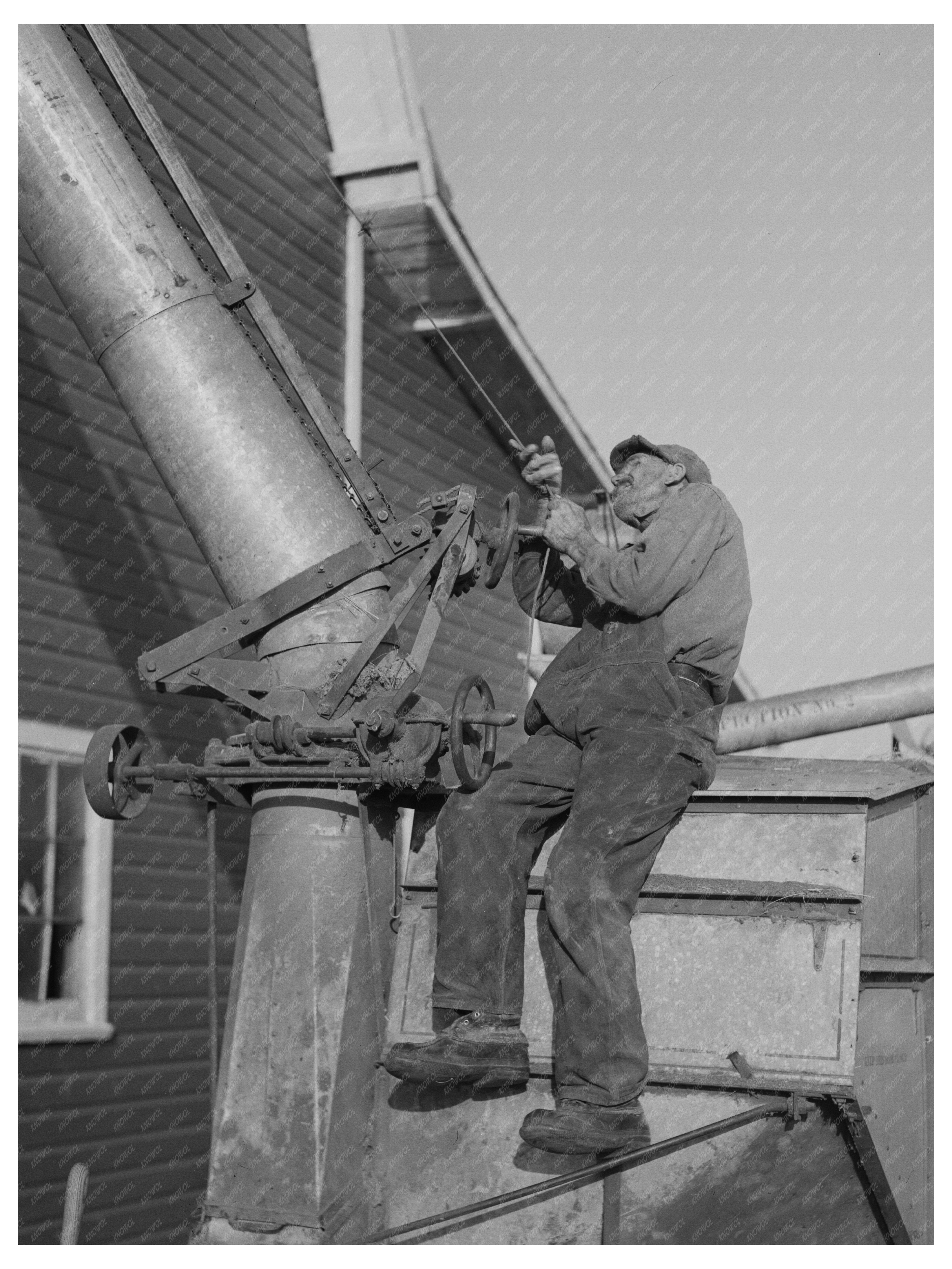 Farmer Operating Thresher in Minnesota Fields 1937