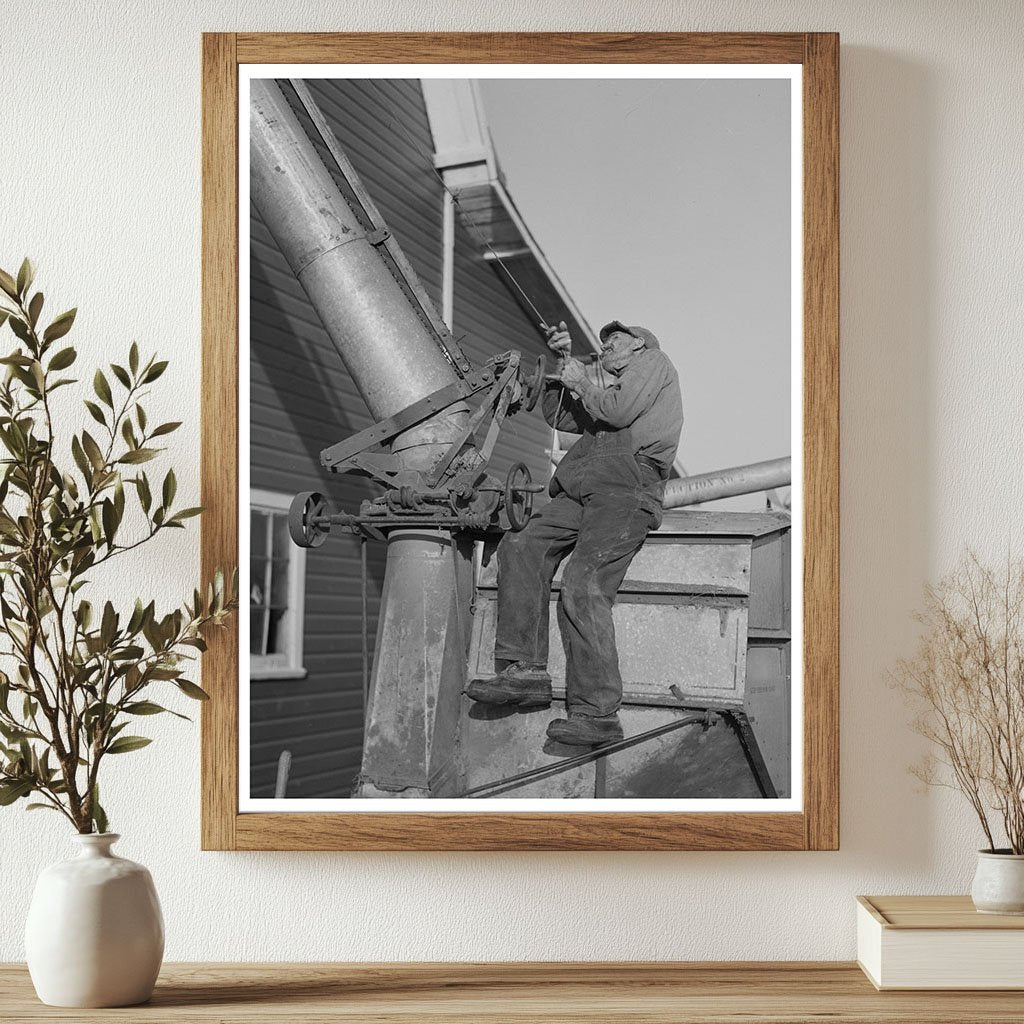 Farmer Operating Thresher in Minnesota Fields 1937