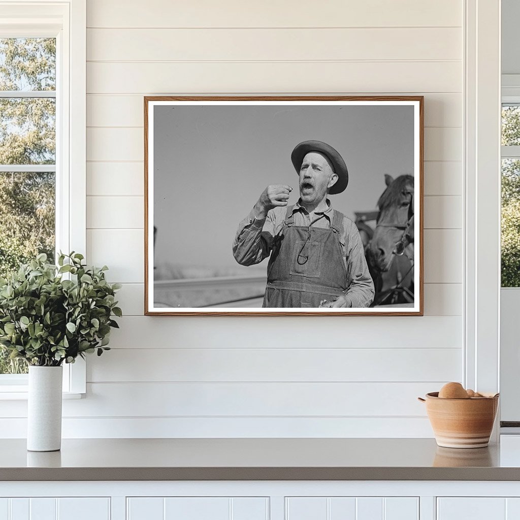 Cut-Over Farmer Taking Snuff Littlefork Minnesota 1937