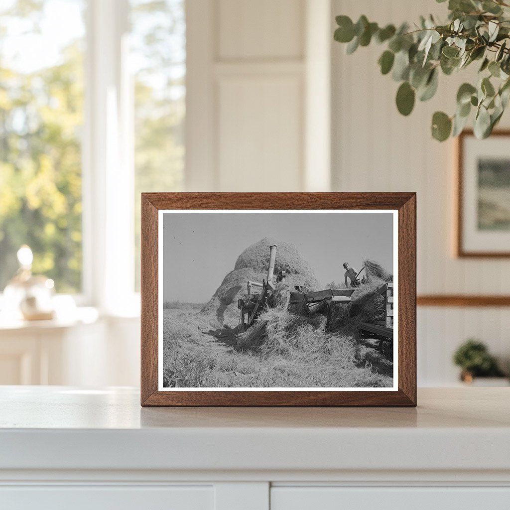 Threshing Alfalfa in Koochiching County Minnesota 1937