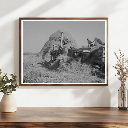 Threshing Alfalfa in Koochiching County Minnesota 1937