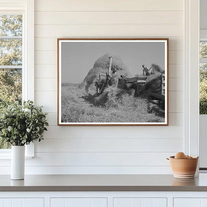 Threshing Alfalfa in Koochiching County Minnesota 1937