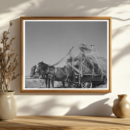 Alfalfa Team and Wagon Near Littlefork Minnesota 1937