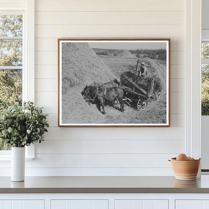 Horses Pulling Alfalfa Wagon in Littlefork Minnesota 1937