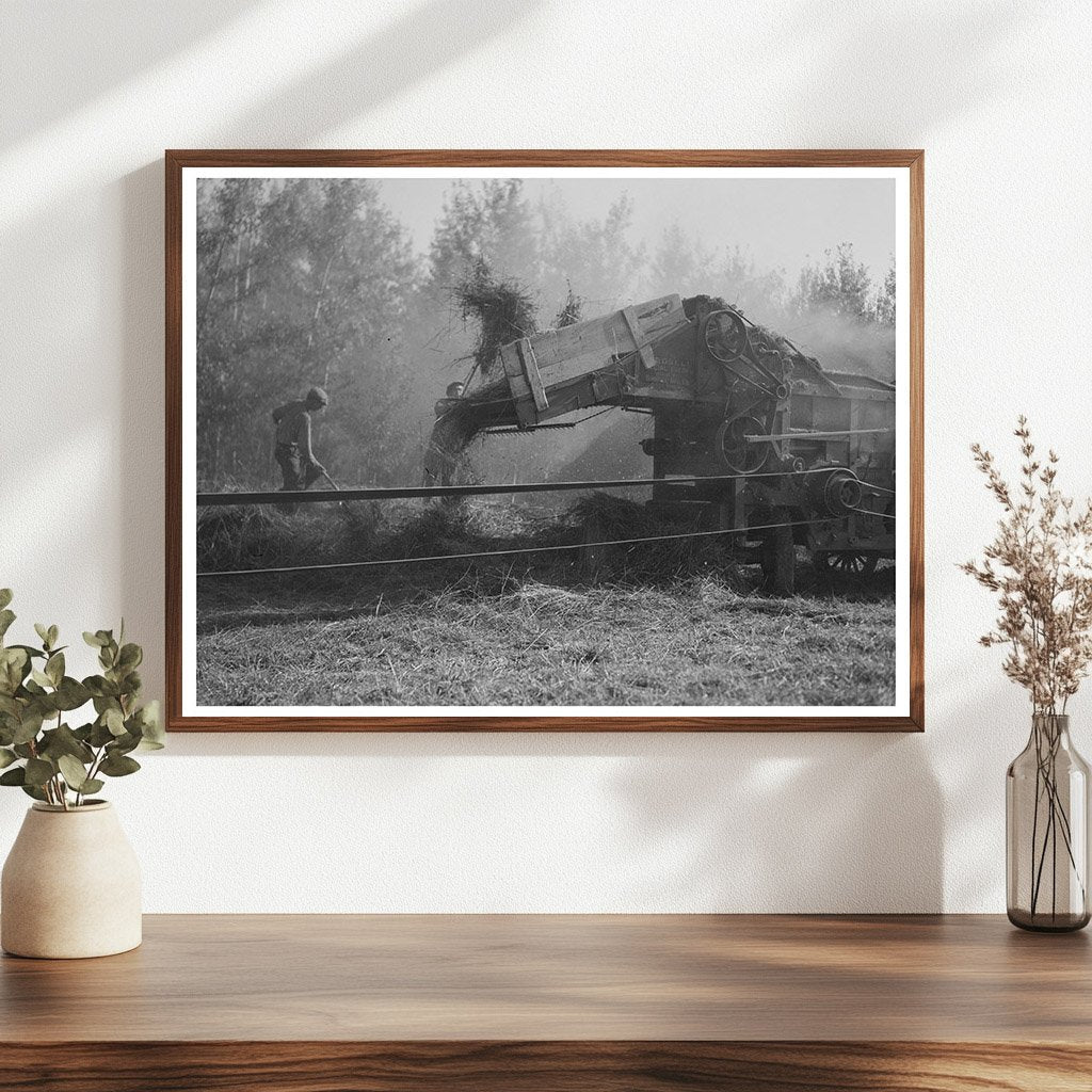 Threshing Clover Seed in Koochiching County 1937