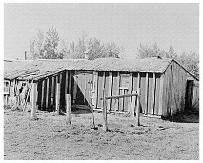 Vintage Barn on Cut-Over Farm Littlefork Minnesota 1937