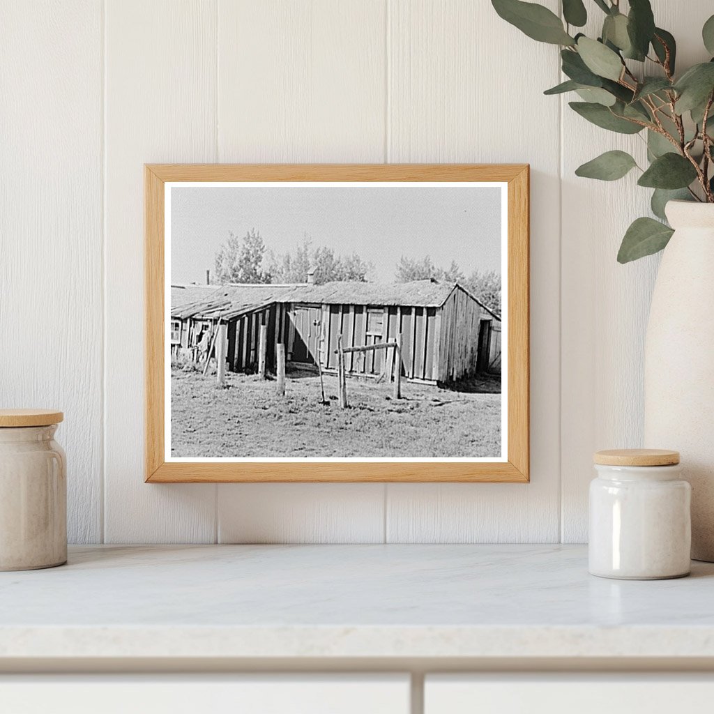 Vintage Barn on Cut-Over Farm Littlefork Minnesota 1937