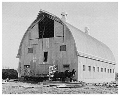 Dairy Barn Construction Littlefork Minnesota 1937