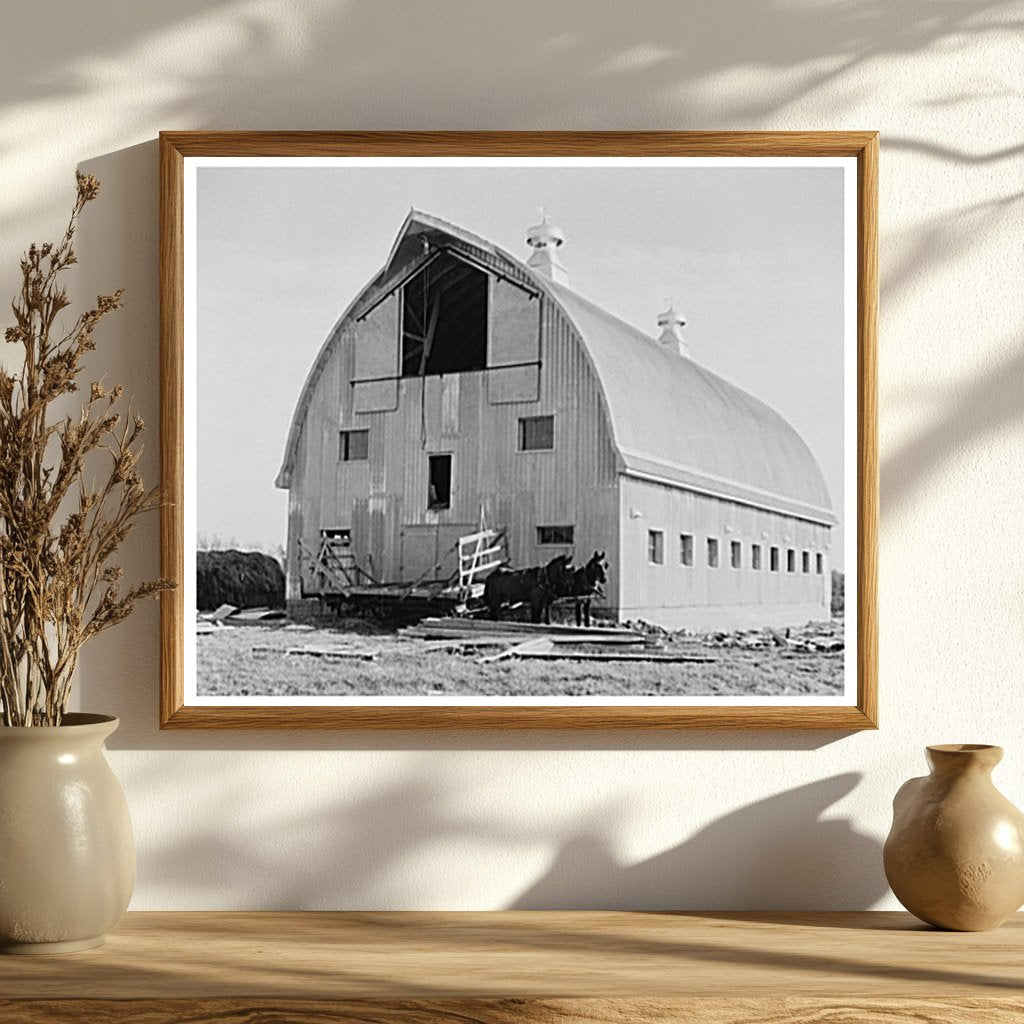 Dairy Barn Construction Littlefork Minnesota 1937