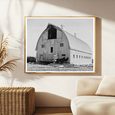 Dairy Barn Construction Littlefork Minnesota 1937