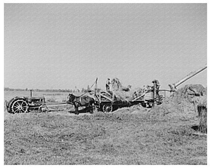 Threshing Alfalfa for Seed Littlefork Minnesota 1937