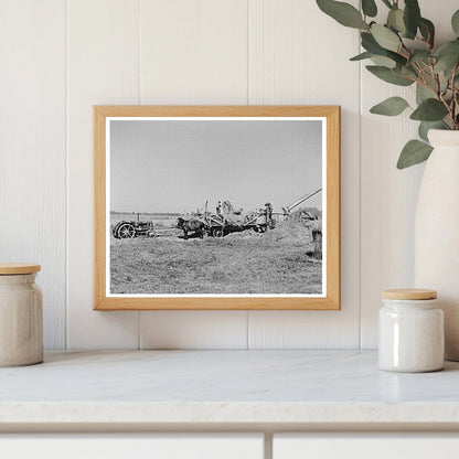 Threshing Alfalfa for Seed Littlefork Minnesota 1937