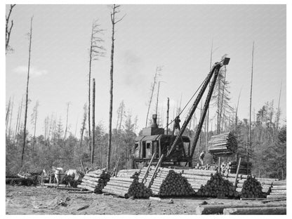 Lumberjacks Loading Logs onto Trains Effie Minnesota 1937