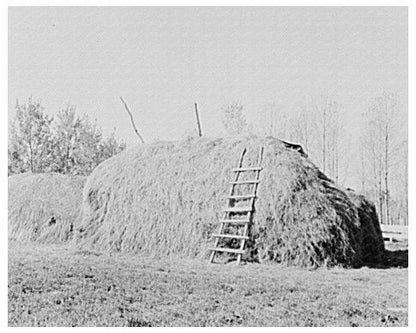 Haystack on Farm in Northome Minnesota September 1937