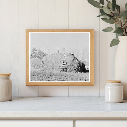 Haystack on Farm in Northome Minnesota September 1937