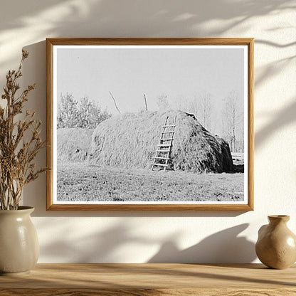 Haystack on Farm in Northome Minnesota September 1937