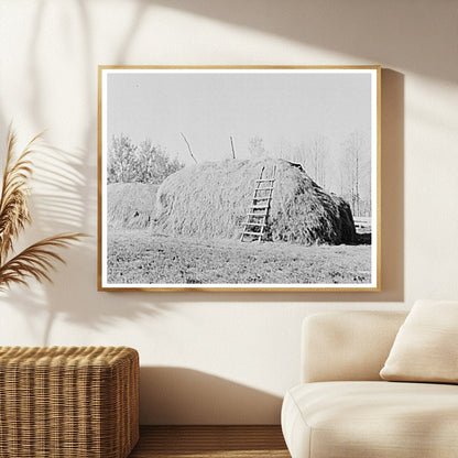 Haystack on Farm in Northome Minnesota September 1937