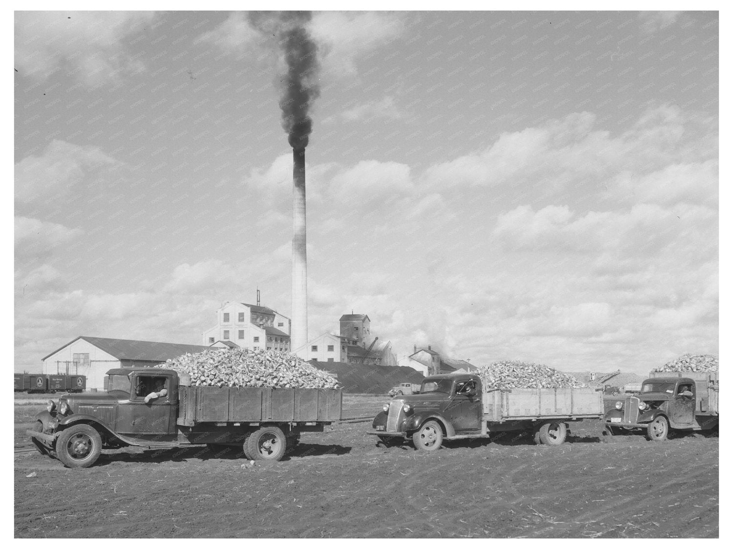 Sugar Beet Trucks in East Grand Forks Minnesota 1937