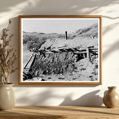 Homesteading Shack in Williams County North Dakota 1937