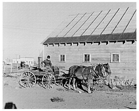 William Hunter in Buckboard Antelope Montana 1937