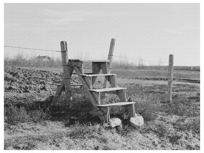Crossing a Barbed Wire Fence in Montana 1937