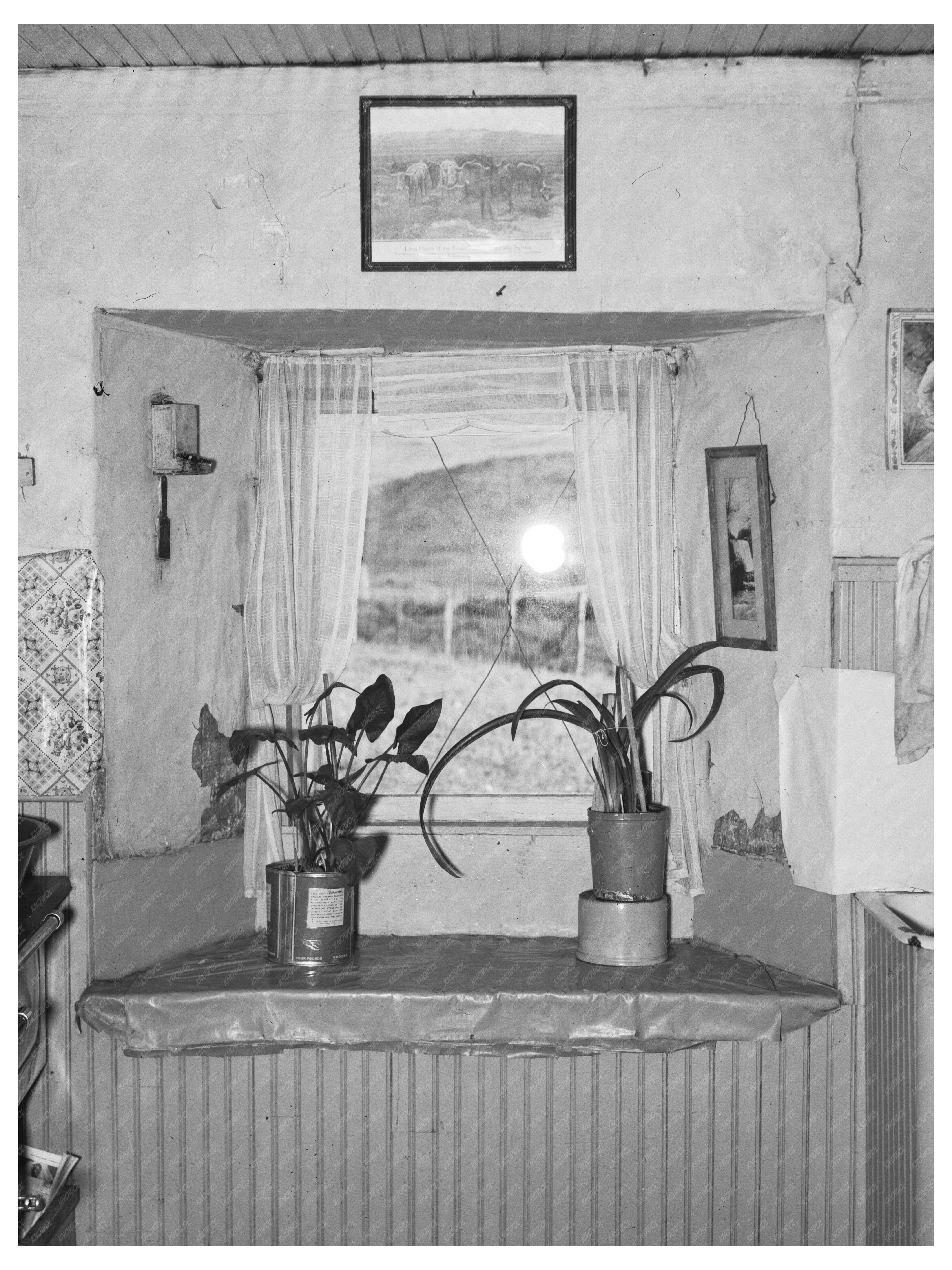 Vintage 1937 Sod House Window McKenzie County North Dakota