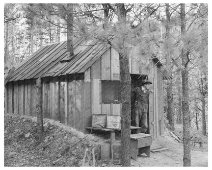 Vintage Shack of Gold Prospector in Deadwood 1937