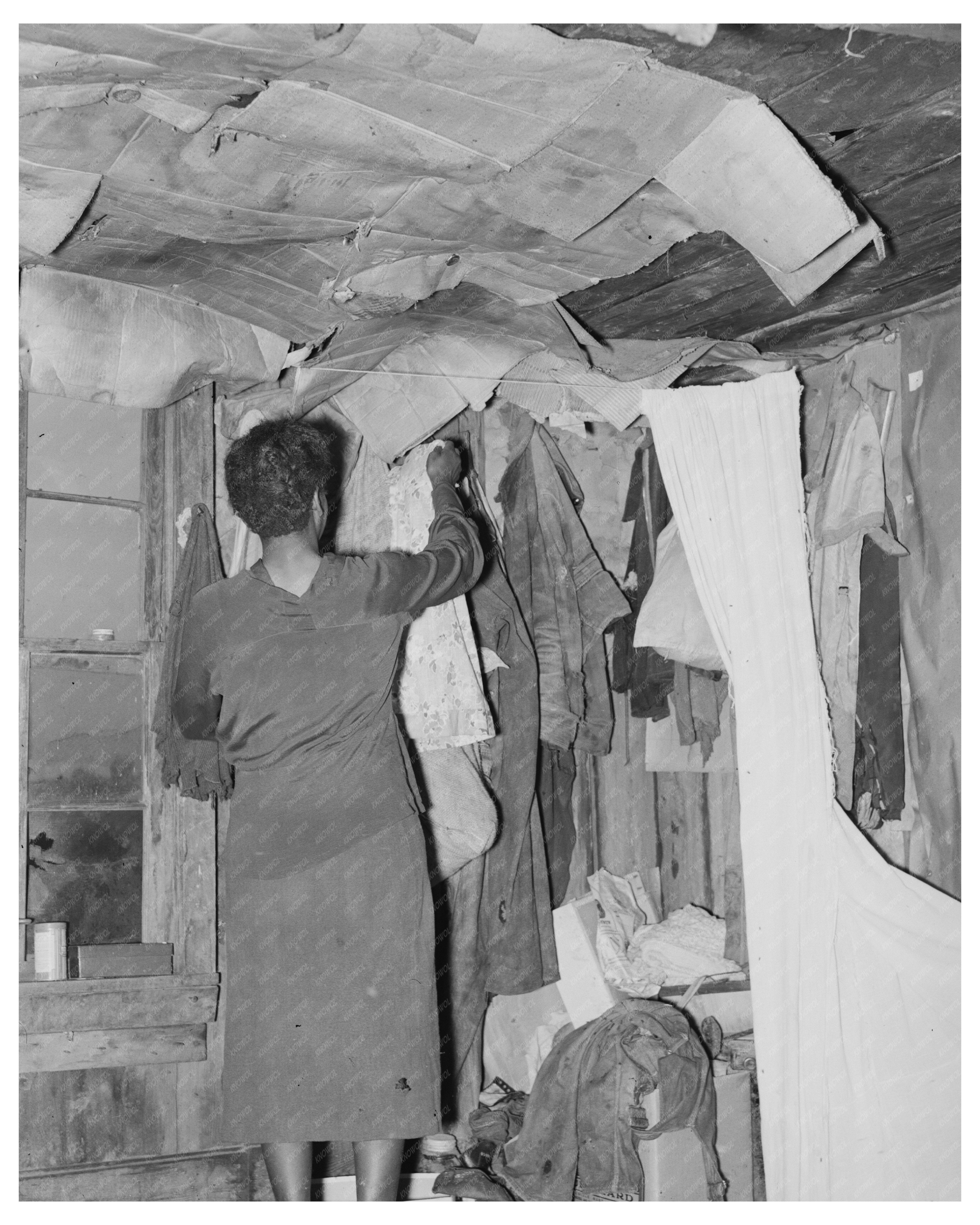 Sharecropper Shack in New Madrid County Missouri 1938