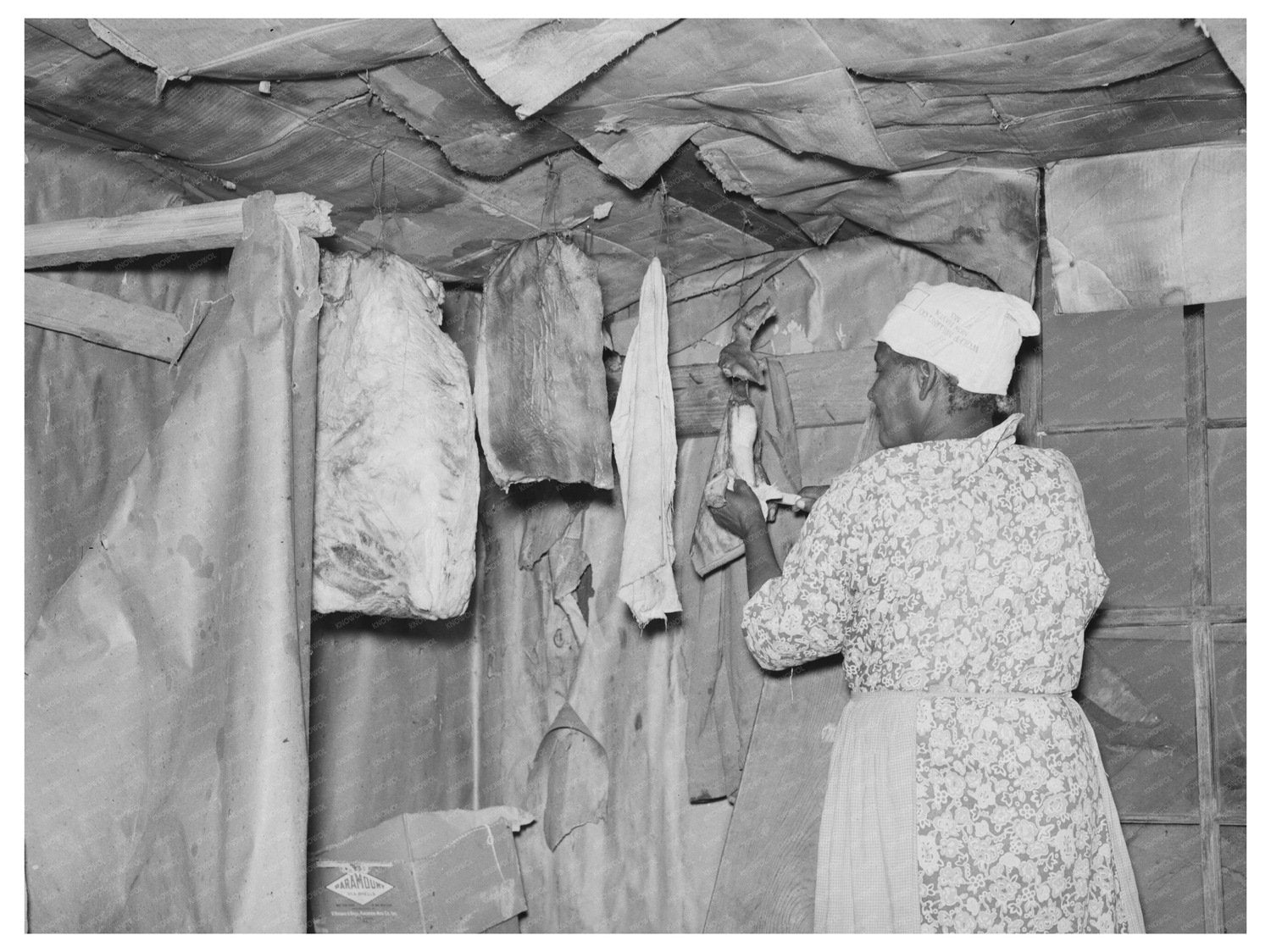 Wife of Sharecropper Prepares Fatback May 1938