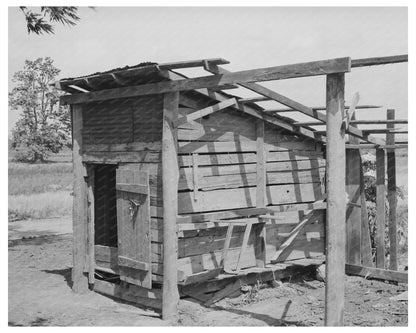 Vintage Shed of Former Sharecropper Southeast Missouri 1938