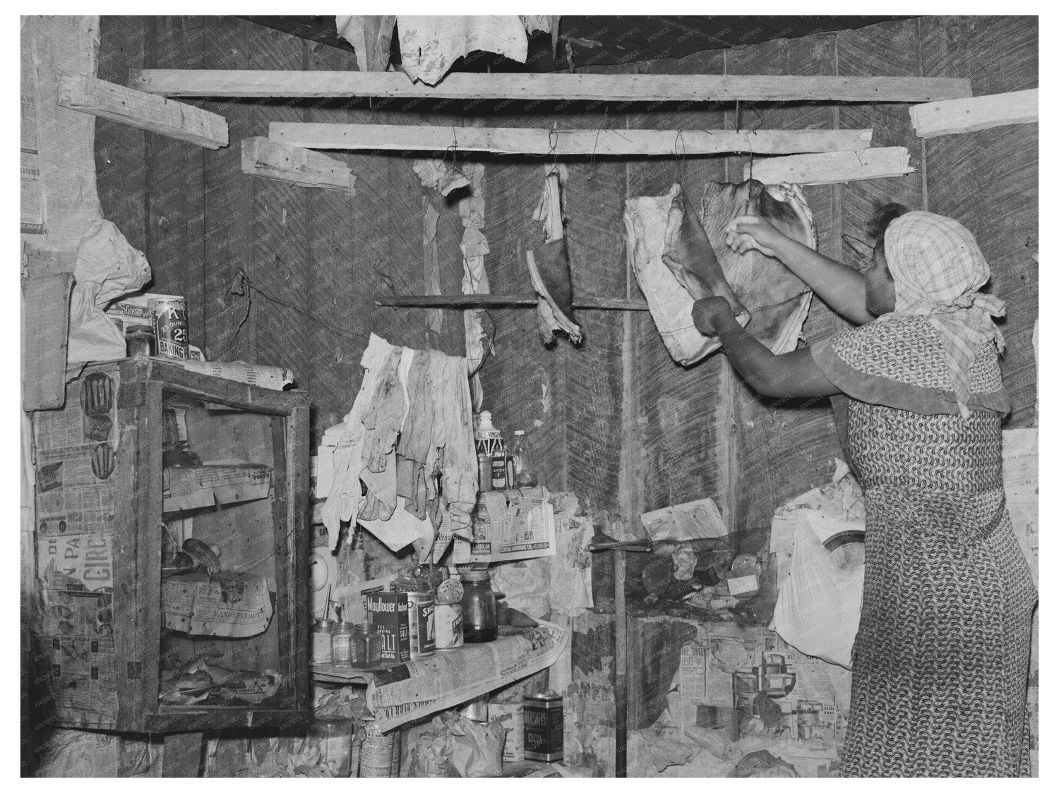 Woman Removing Fatback in 1938 Missouri Kitchen