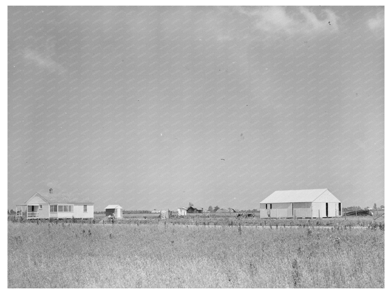 Southeast Missouri Farms New Madrid County May 1938