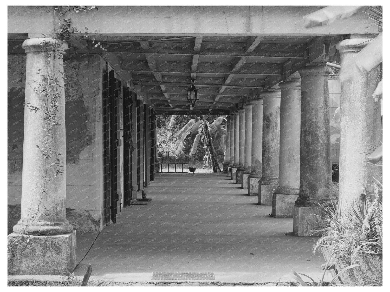 Louisiana Plantation Verandah September 1938 Image
