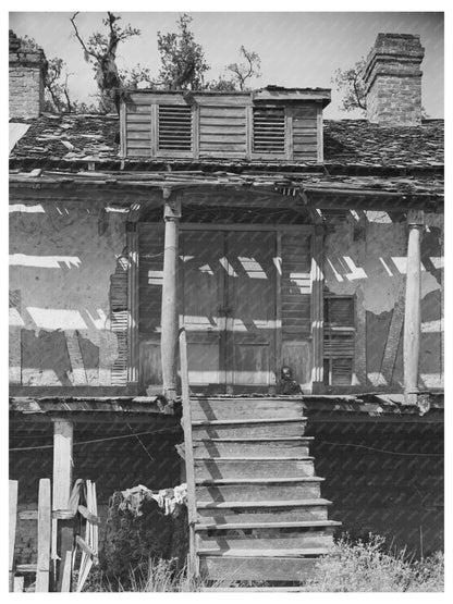 Trepagnier Plantation Entrance Norco Louisiana 1938