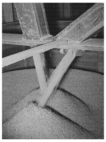 Rice Pouring into Chutes in Crowley Louisiana 1938