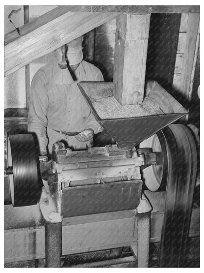 Workers Polishing Rice at Louisiana State Mill 1938