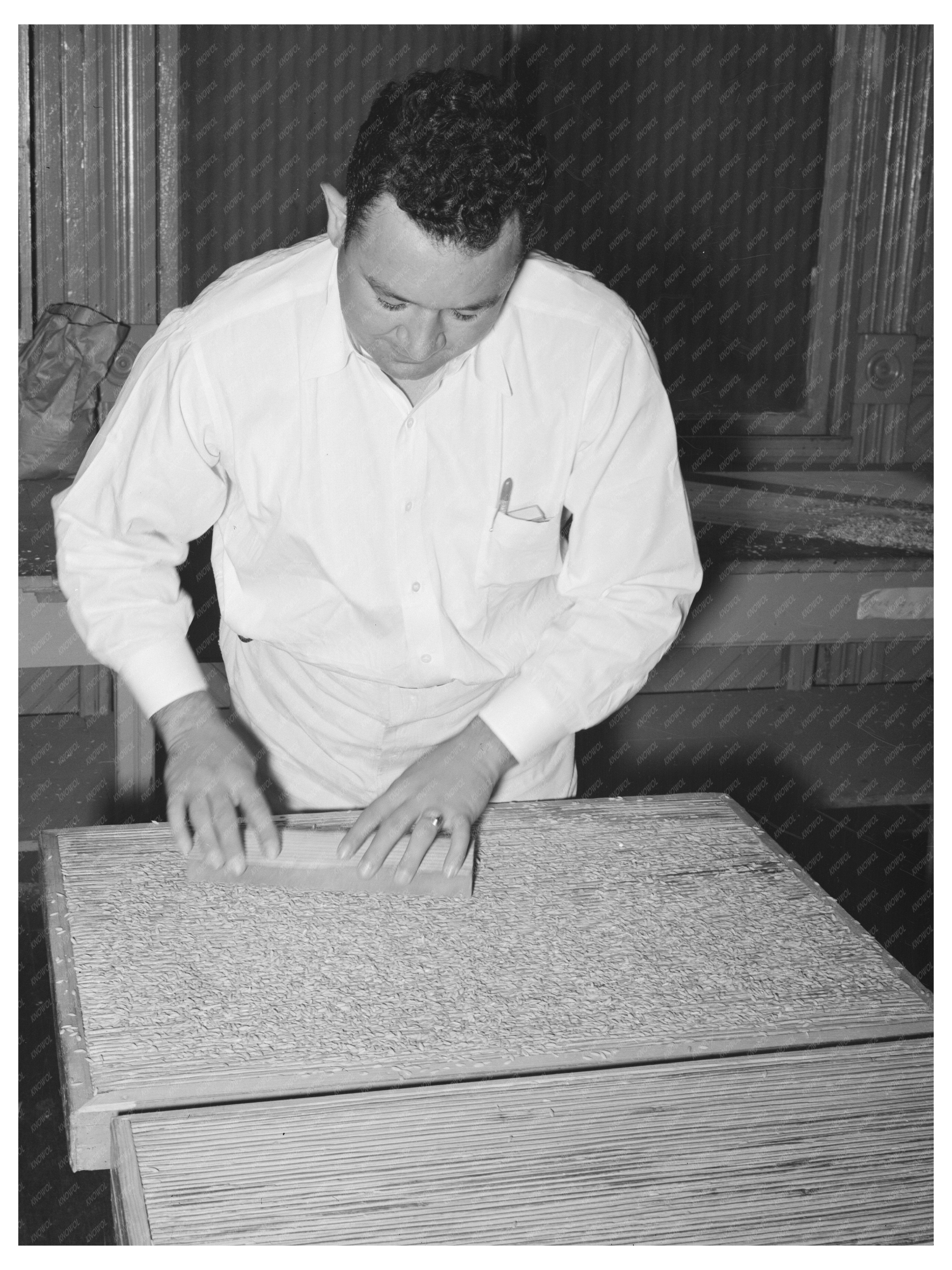 Hand Hulling Rice at Louisiana Mill September 1938