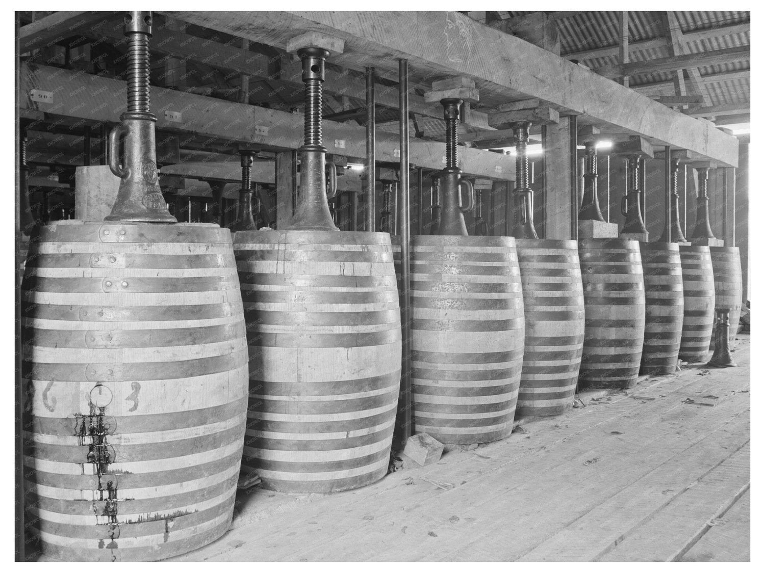Perique Tobacco Aging Barrels Saint James Parish 1938