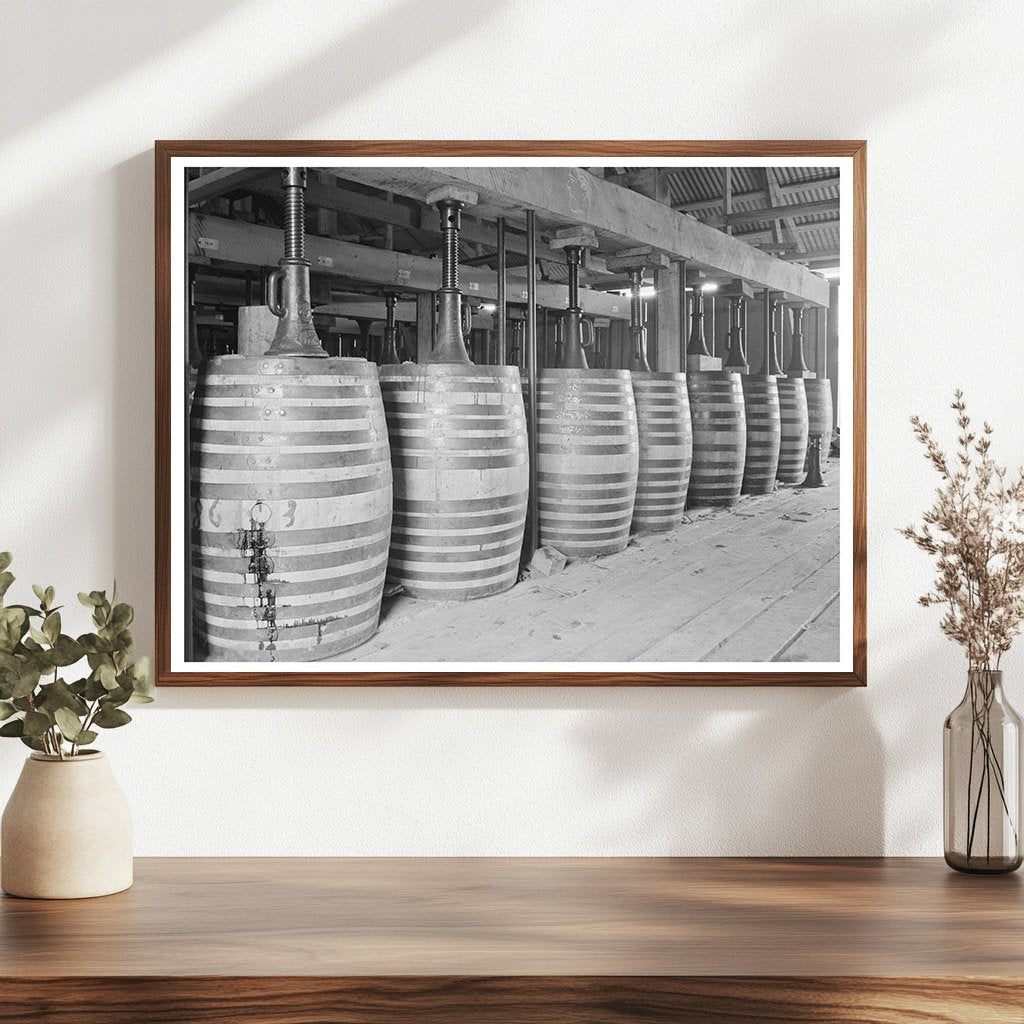 Perique Tobacco Aging Barrels Saint James Parish 1938